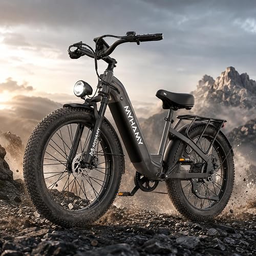 MEELOD Electric Bike for Adults, 24
