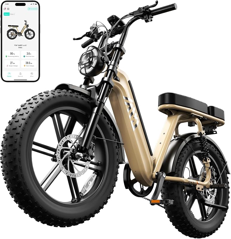 TST Electric Bike for Adults 1500W