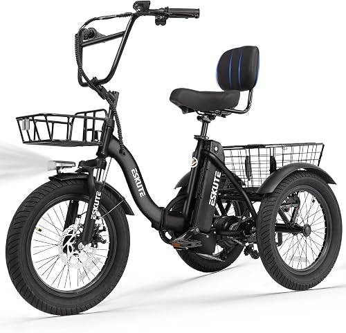 ESKUTE E Trike Electric Bike, Peak 1200W Brushless Motor Folding Trike — Real-world performance testing in action